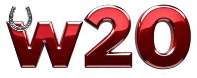w20